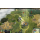 PC Civilization 5: Brave New World ESD Steam - 464816 - zdjęcie 2